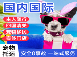 栎社航空物流国际宠物托运 【国